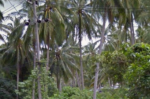 Land for sale in Bo Phut, Surat Thani
