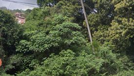 Land for sale in Bo Phut, Surat Thani