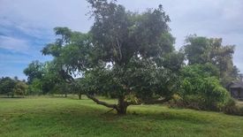 Land for sale in Sam Roi Yot, Prachuap Khiri Khan