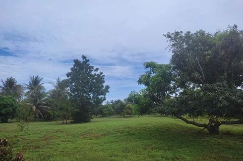 Land for sale in Sam Roi Yot, Prachuap Khiri Khan
