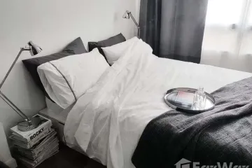 1 Bedroom Condo for rent in Lumpini Suite Sukhumvit 41, Khlong Tan Nuea, Bangkok near BTS Phrom Phong