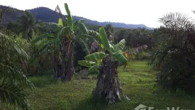Land for sale in Pa Khlok, Phuket