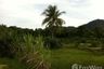 Land for sale in Pa Khlok, Phuket