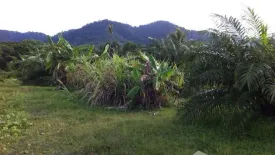 Land for sale in Pa Khlok, Phuket
