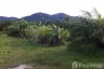 Land for sale in Pa Khlok, Phuket
