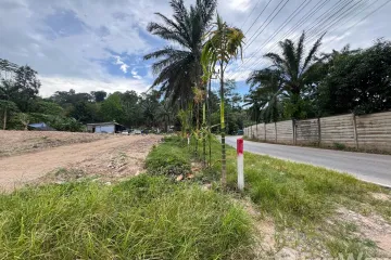 Land for sale in Kathu, Phuket