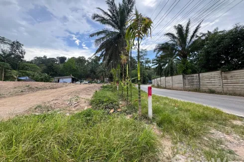 Land for sale in Kathu, Phuket
