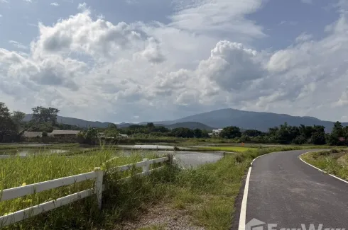 Land for sale in Nong Khwai, Chiang Mai