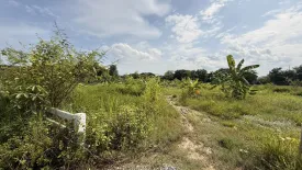 Land for sale in Nong Khwai, Chiang Mai