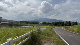 Land for sale in Nong Khwai, Chiang Mai