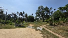 Land for sale in Maret, Surat Thani