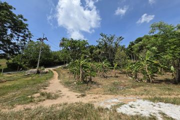 Land for sale in Maret, Surat Thani