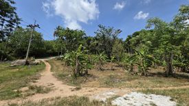 Land for sale in Maret, Surat Thani