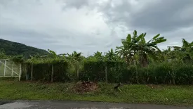 Land for sale in Chalong, Phuket