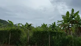 Land for sale in Chalong, Phuket