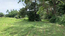 Land for sale in Thep Krasatti, Phuket