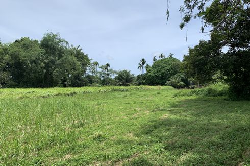 Land for sale in Thep Krasatti, Phuket