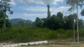 Land for sale in Lipa Noi, Surat Thani