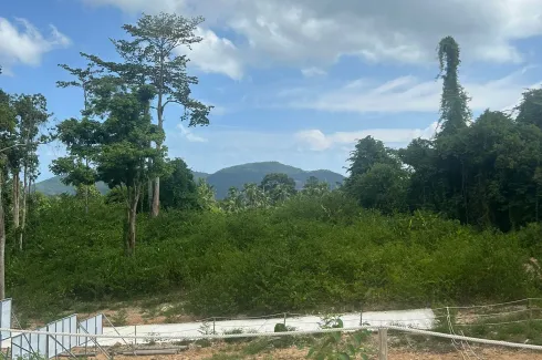 Land for sale in Lipa Noi, Surat Thani