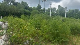 Land for sale in Lipa Noi, Surat Thani