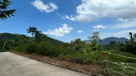 Land for sale in Lipa Noi, Surat Thani