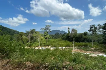 Land for sale in Lipa Noi, Surat Thani