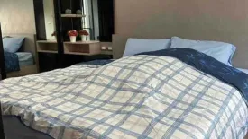 1 Bedroom Condo for sale in Tree Condo Sukhumvit 50, Phra Khanong, Bangkok near BTS On Nut