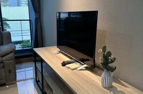 1 Bedroom Condo for rent in Tree Condo Sukhumvit 50, Phra Khanong, Bangkok near BTS On Nut