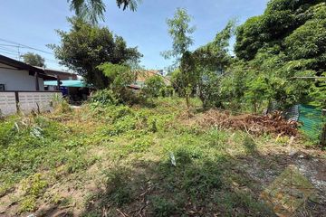 Land for sale in Nong Prue, Chonburi