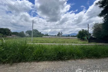 Land for sale in Ban Waen, Chiang Mai