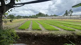 Land for sale in Ban Waen, Chiang Mai