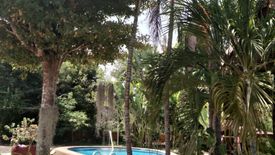 8 Bedroom House for sale in Wang Phong, Prachuap Khiri Khan