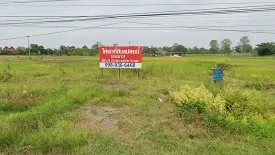 Land for sale in Bung Wai, Ubon Ratchathani