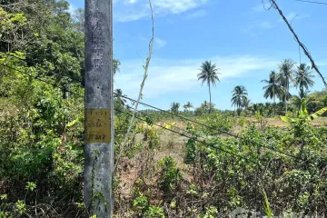 Land for sale in Khuekkhak, Phang Nga