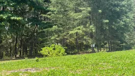 Land for sale in Khuekkhak, Phang Nga