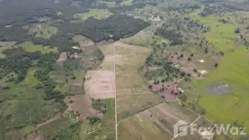 Land for sale in Tha Mai, Kamphaeng Phet