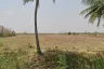Land for sale in Nong Krathum, Nakhon Ratchasima