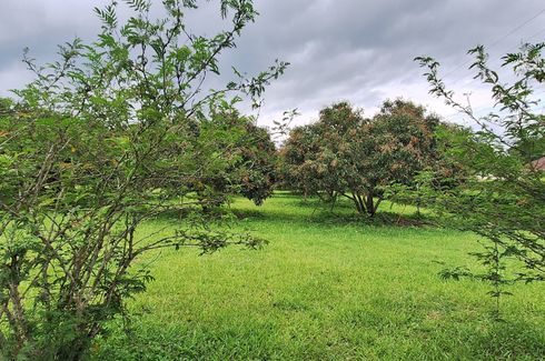 3 Bedroom House for sale in San Maha Phon, Chiang Mai