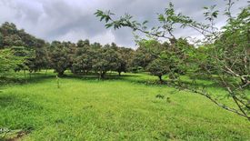 3 Bedroom House for sale in San Maha Phon, Chiang Mai