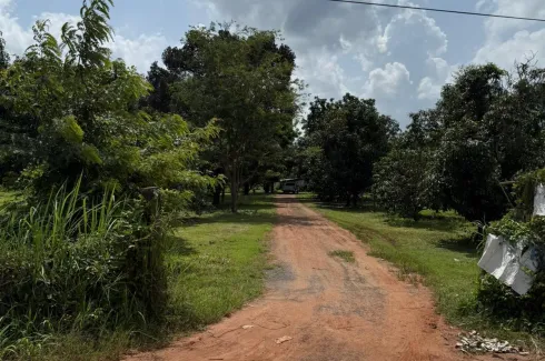 Land for sale in Nong Khon, Ubon Ratchathani