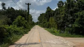 Land for sale in Nong Khon, Ubon Ratchathani