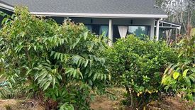 1 Bedroom House for rent in Paklok Townhouse, Pa Khlok, Phuket