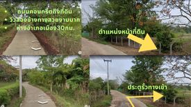 Land for sale in Saluang, Chiang Mai