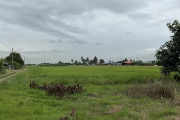 Land for sale in Bueng Bon, Pathum Thani