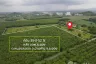 Land for sale in Nong Lalok, Rayong