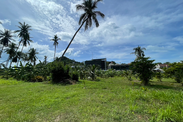 Land for sale in Maret, Surat Thani