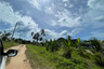 Land for sale in Maret, Surat Thani