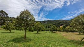 Land for sale in Mae Nam, Surat Thani