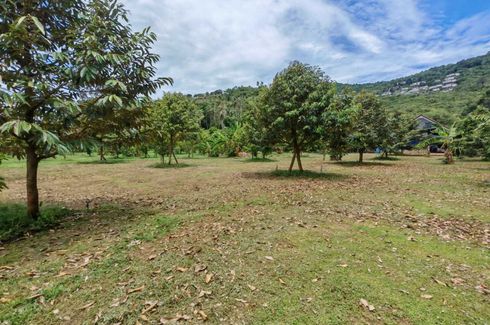 Land for sale in Mae Nam, Surat Thani