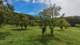 Land for sale in Mae Nam, Surat Thani